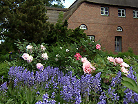 Baumpark Arboretum 2